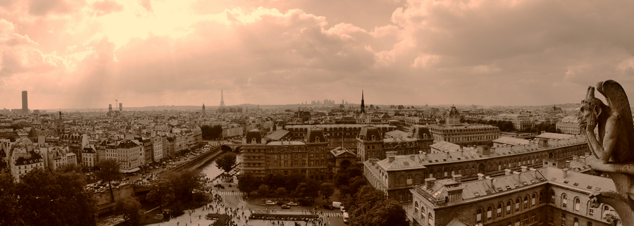 View from Notre Dame - Paris, France