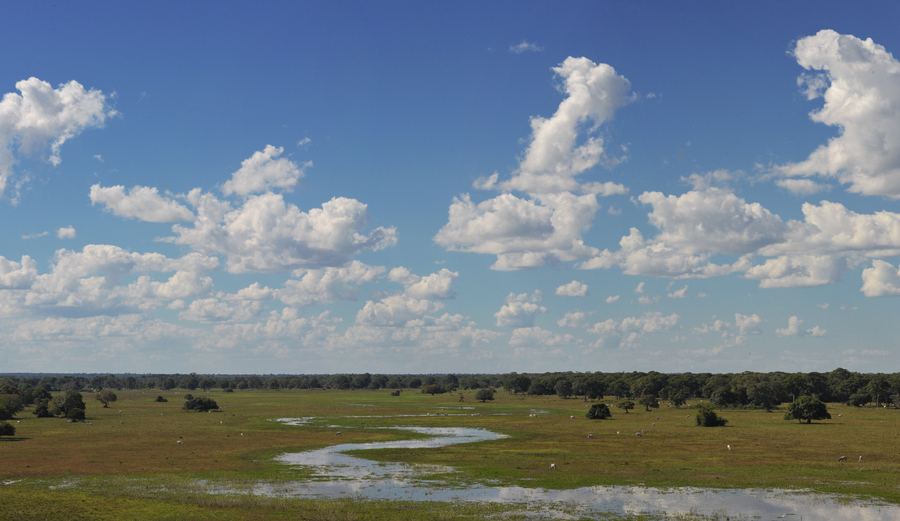 Pantanal wetlands - Mato Grosso State, Brazil