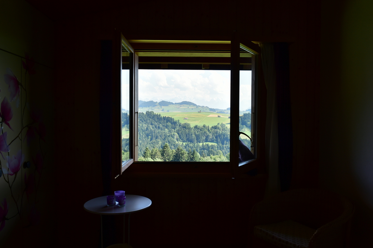 Window to Berner Oberland