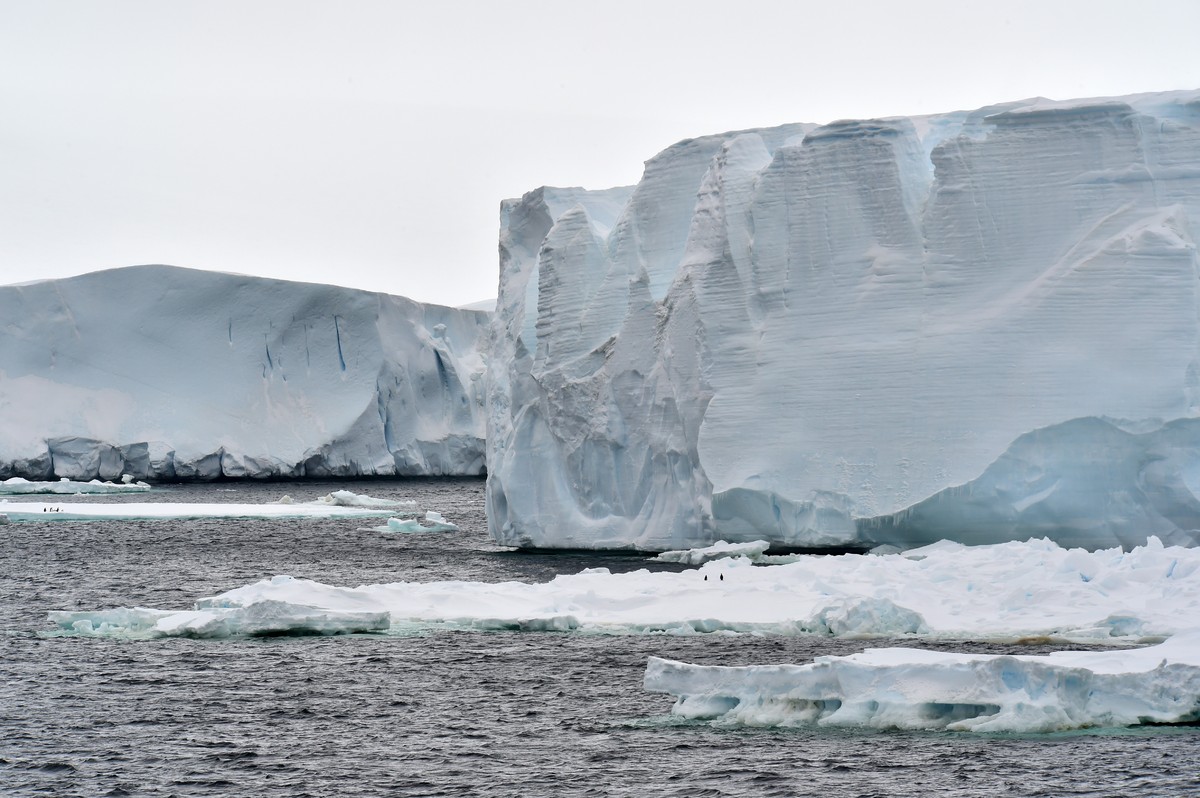 Or on floating pack ice dwarfed by tabular bergs shown above.