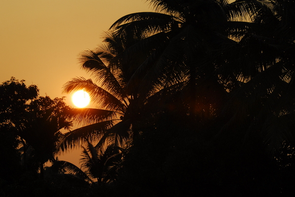 Sunset in Kerala